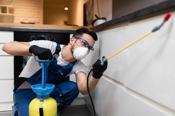 Best Termite Control Services  in Noblesville, IN