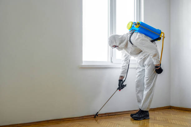 Best Affordable Pest Control Services  in Noblesville, IN