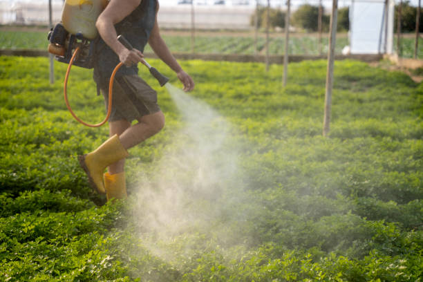 Pest Control for Restaurants in Noblesville, IN