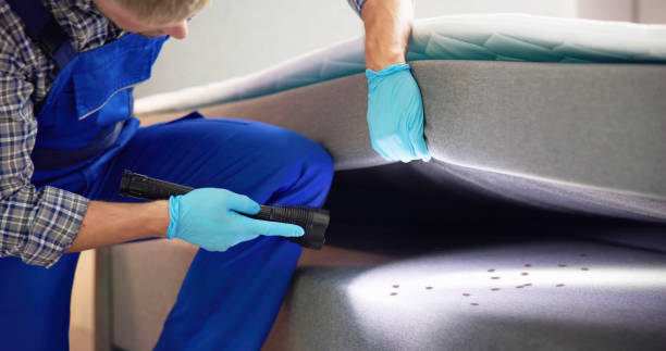 Best Cockroach Control Services  in Noblesville, IN