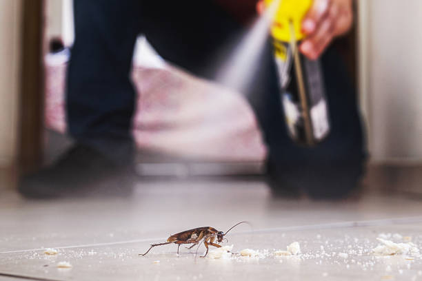 Best Commercial Pest Control Services  in Noblesville, IN