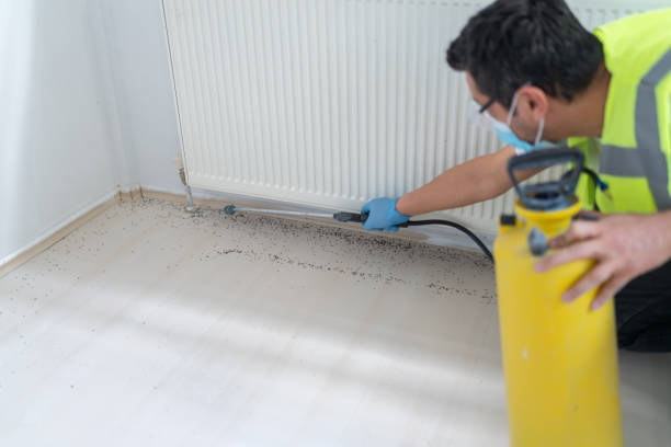 Best Pest Control for Restaurants  in Noblesville, IN