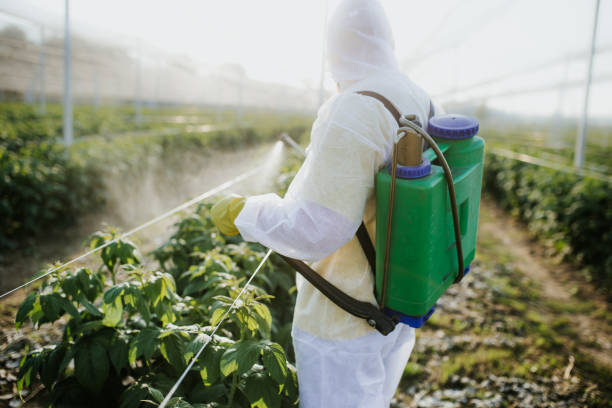 Best Pest Prevention Services  in Noblesville, IN